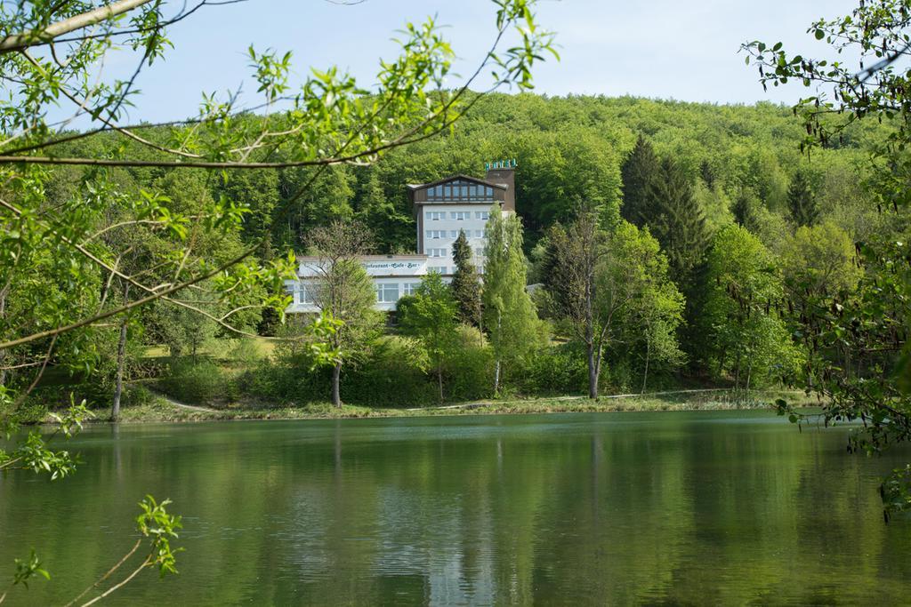 Hotel Reifenstein Kleinbartloff Eksteriør billede